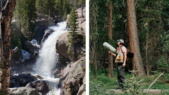 Jacob Job records natural sounds in a dense forest setting with his binaural microphones.