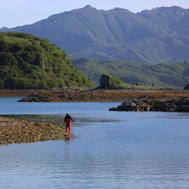 A marine inlet.