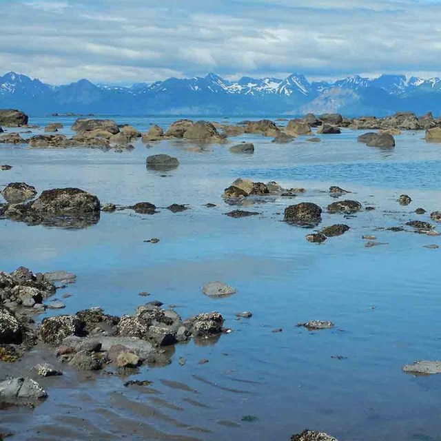 The rocky interface between the sea and shore.