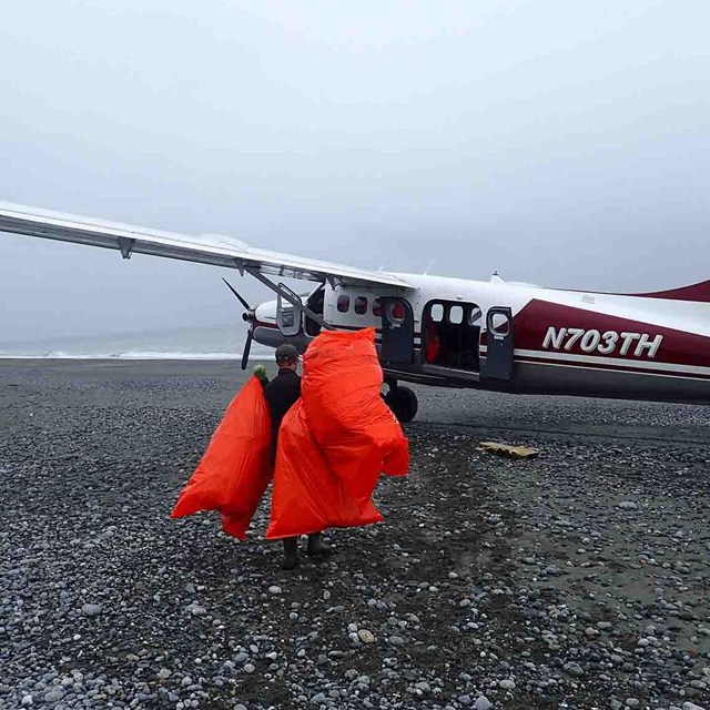 A ranger carries bags of marine debris to a plane to fly it out.