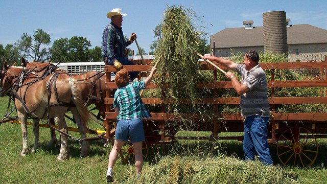 Two visitors pitch hay into horse-drawn hay wagon using pitchforks. Man with cowboy hat watches.