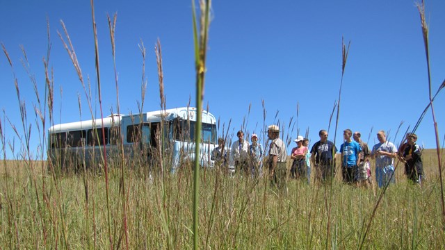 Visitors stand on the prairie in front of a white bus. A ranger engages the group.