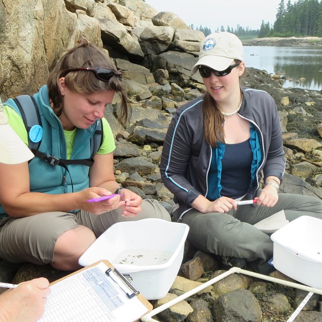 Group does work together with sitting on rocks 