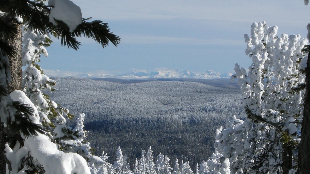 Mountain views from the saddle at the top of the Divide Ski Trail.