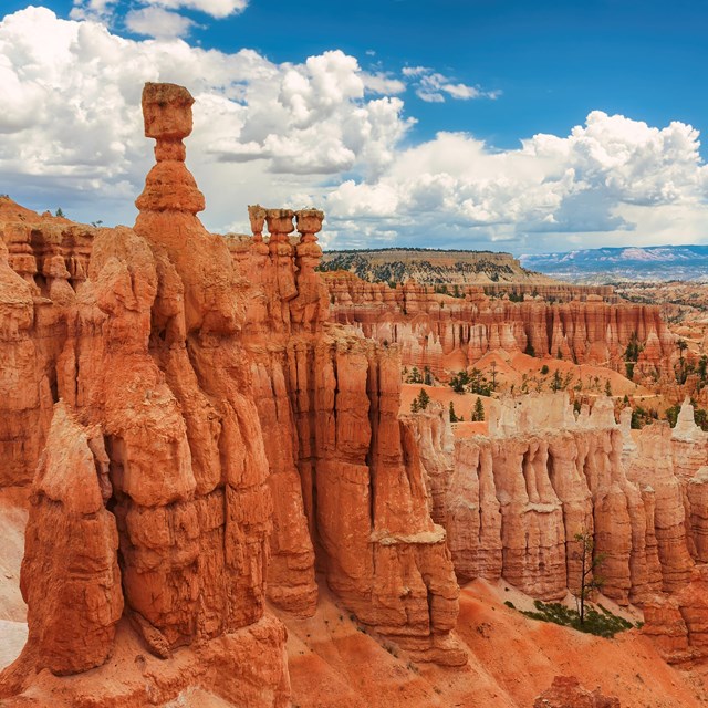 An amphitheater of red rock formations featuring Thor's Hammer.