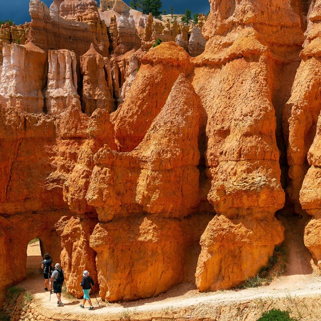 Hikers descend switchbacks between tall red rock walls.