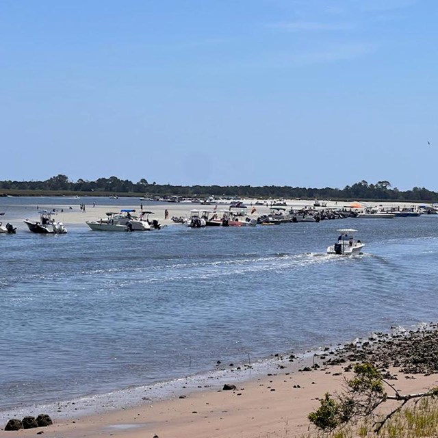 busy sand bar with many boats