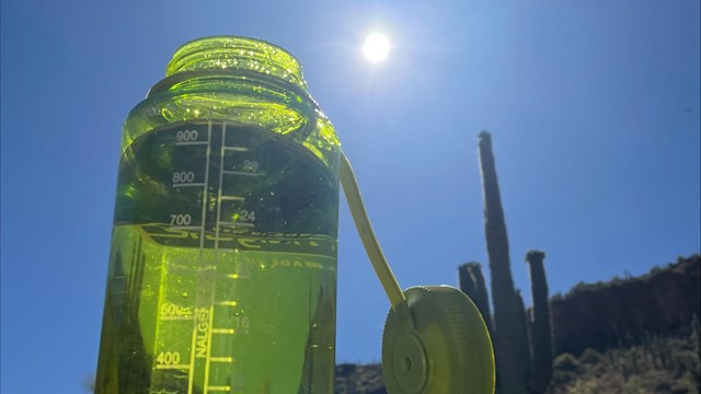 A water bottle with the sun shining brightly behind and a cactus.