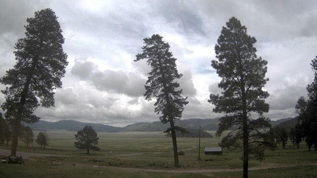 A view of a vast mountain meadow through a webcam.