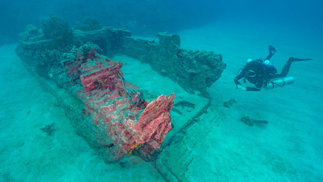 A woman scuba diving next to the wreck of an Amtrac amphibious tractor