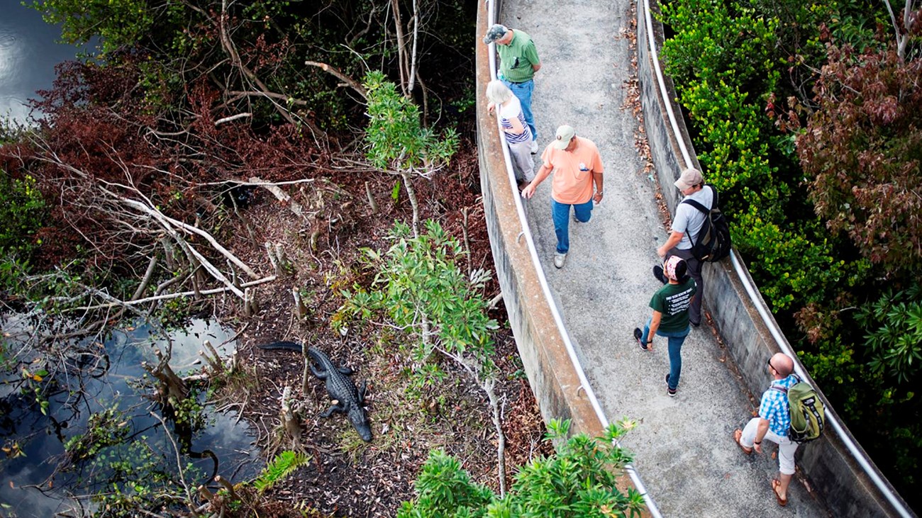 Visitors at Everglades National Park