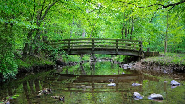 A footbridge over a creek during spring.