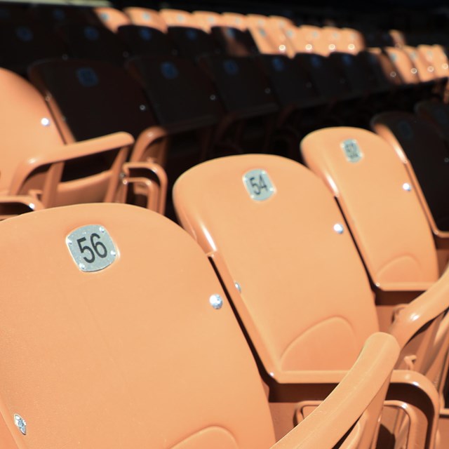 A close-up view of the orchestra seats in the Filene Center.