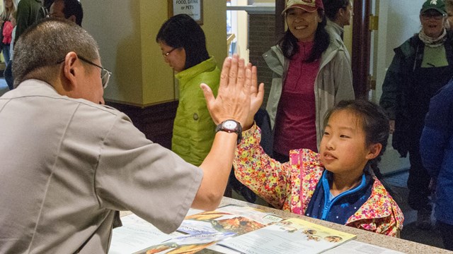 Become a junior ranger of Yellowstone National Park.