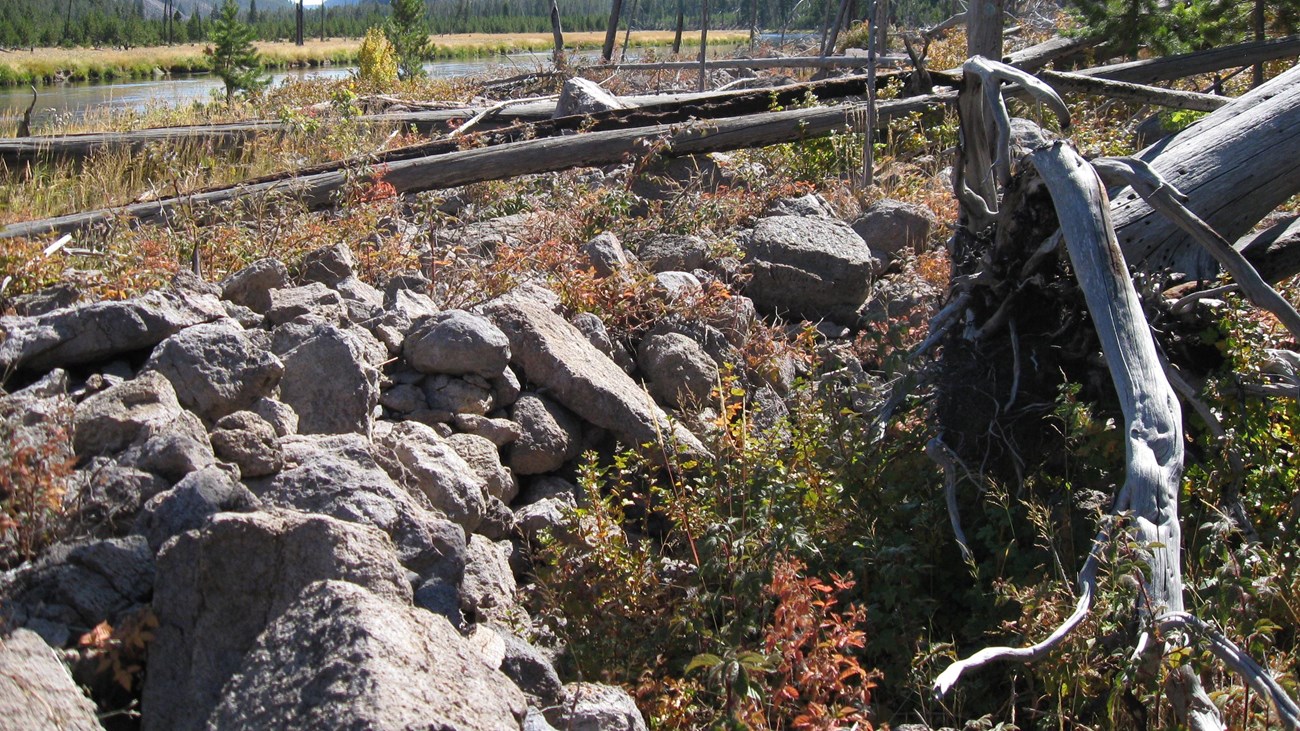 Stones piled in a formation in the forest