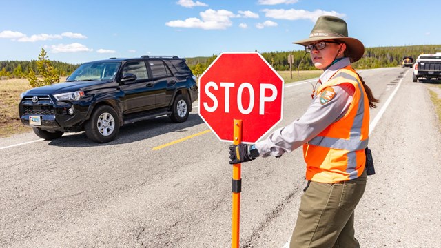 A flagger guides cars through road construction.