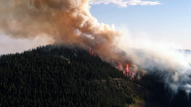 Red smoke rises from a fire burning a hill of pine trees