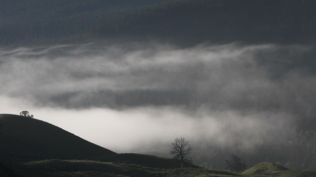 Dark clouds in a landscape