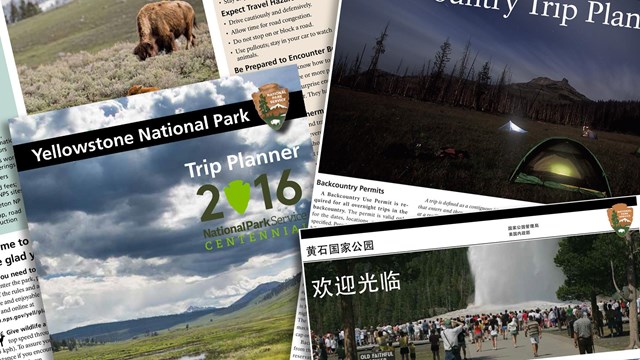 Photo of park brochures