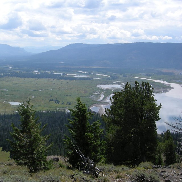 Yellowstone River delta