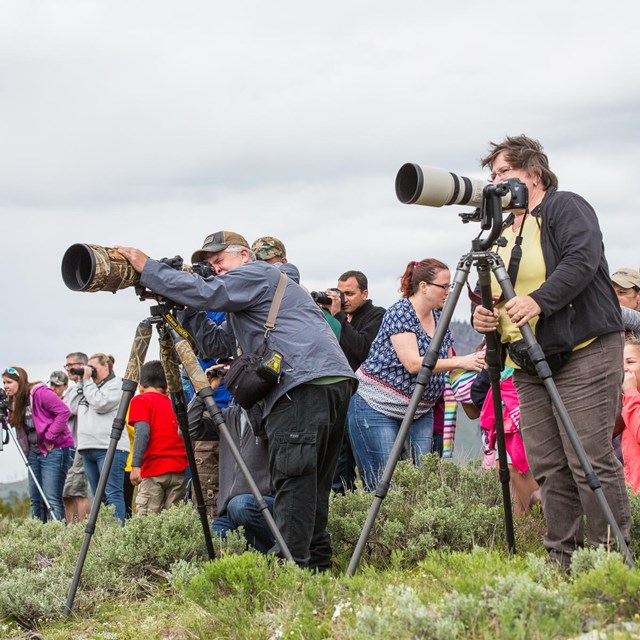 A group of photographers near Mammoth Hot Springs