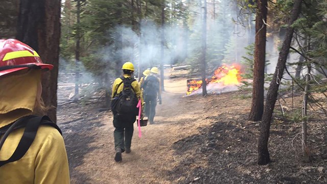 Current Fire News