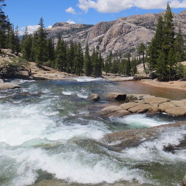 Tuolumne River flowing 