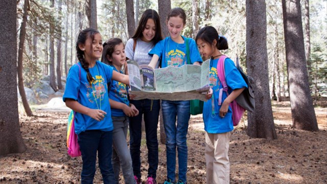 5 young females looking at a park in the woods