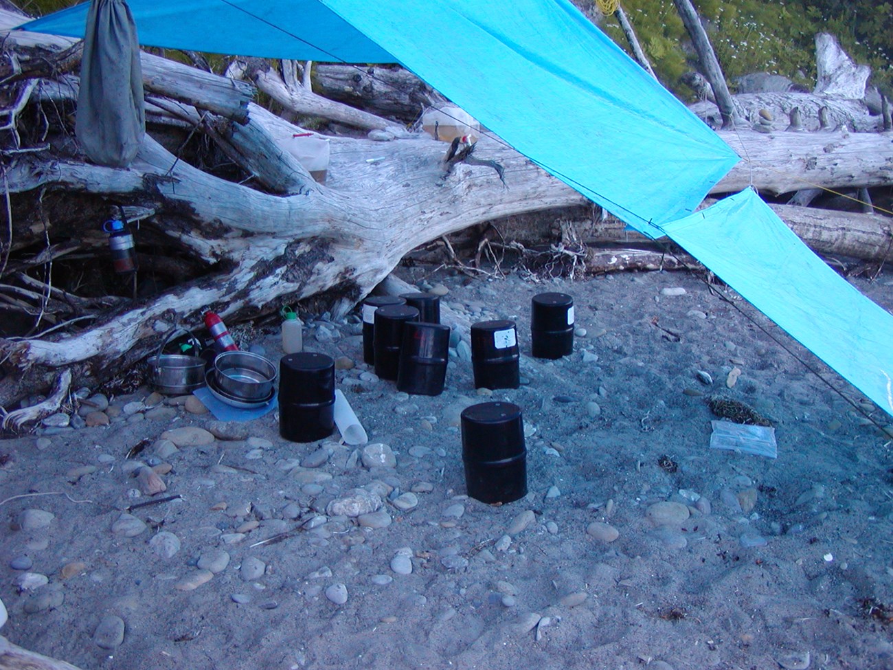 Bear canisters in the sand on the coast.