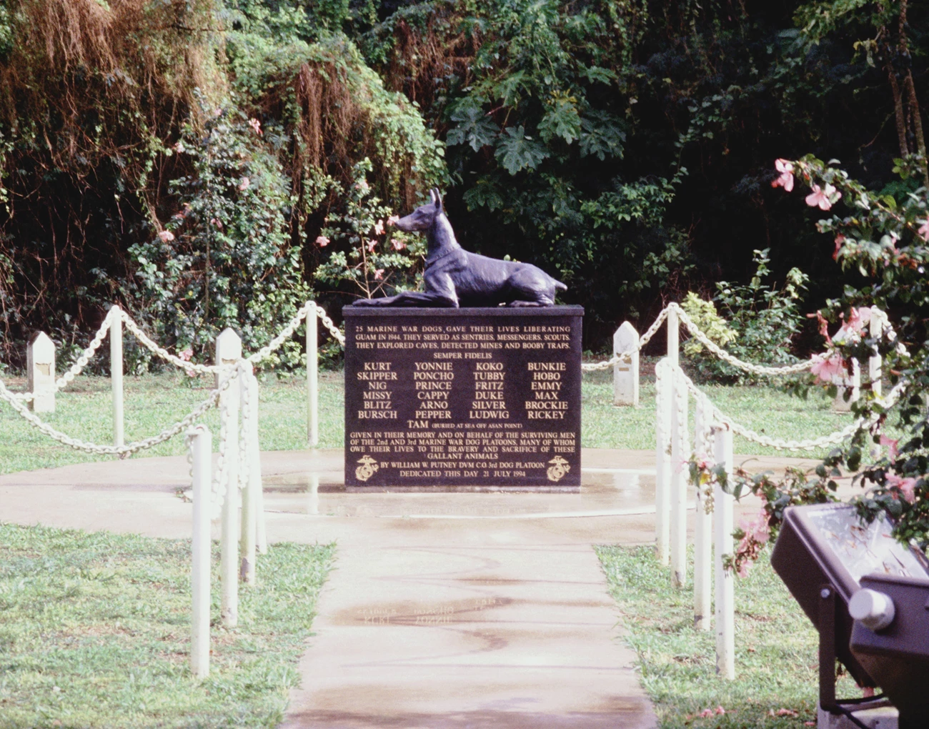 Four rows of small headstones with the profile of a dog on them in a cemetery in a tropical setting