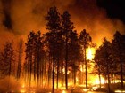 The 2002 Rodeo-Chediski Fire, which followed four years of drought.