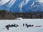 people standing on a snow-covered, frozen lake near a spruce forest