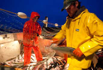 two men on a boat pulling fish out of a net