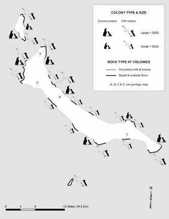 simple map diagraming how crevice-dwelling birds live in colonies around edge of islands simple map diagraming how crevice-dwelling birds live in colonies around edge of islands