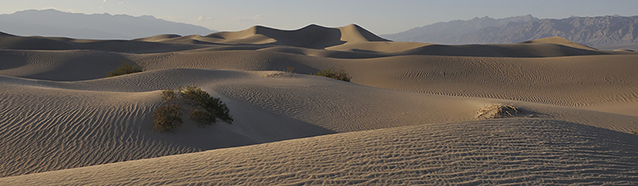 Mesquite Flat Sand Dunes