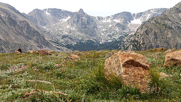 Rocky Mountain Tundra