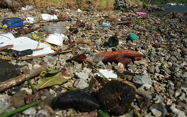 Trash along shoreline Trash along shoreline