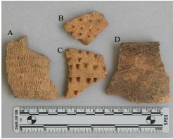 Pottery sherds