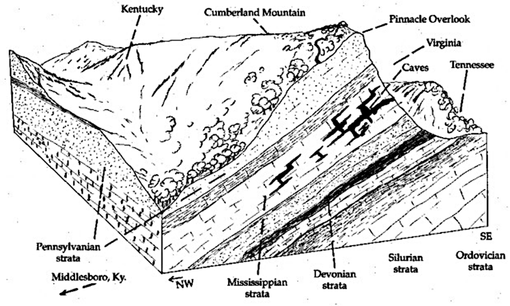 drawing showing a cross section of a mountain. On the top there are lines pointing out different locations and, on the bottom, the different strata.