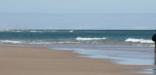 Atlantic Ocean beach at Cape Cod National Seashore