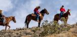 Three men on brown horses walk up a sagebrush covered ridge.