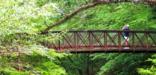 Birder on Village Creek Bridge in Turkey Creek Unit