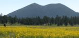 Sunset Crater Volcano National Monument