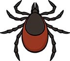 illustration of a tick