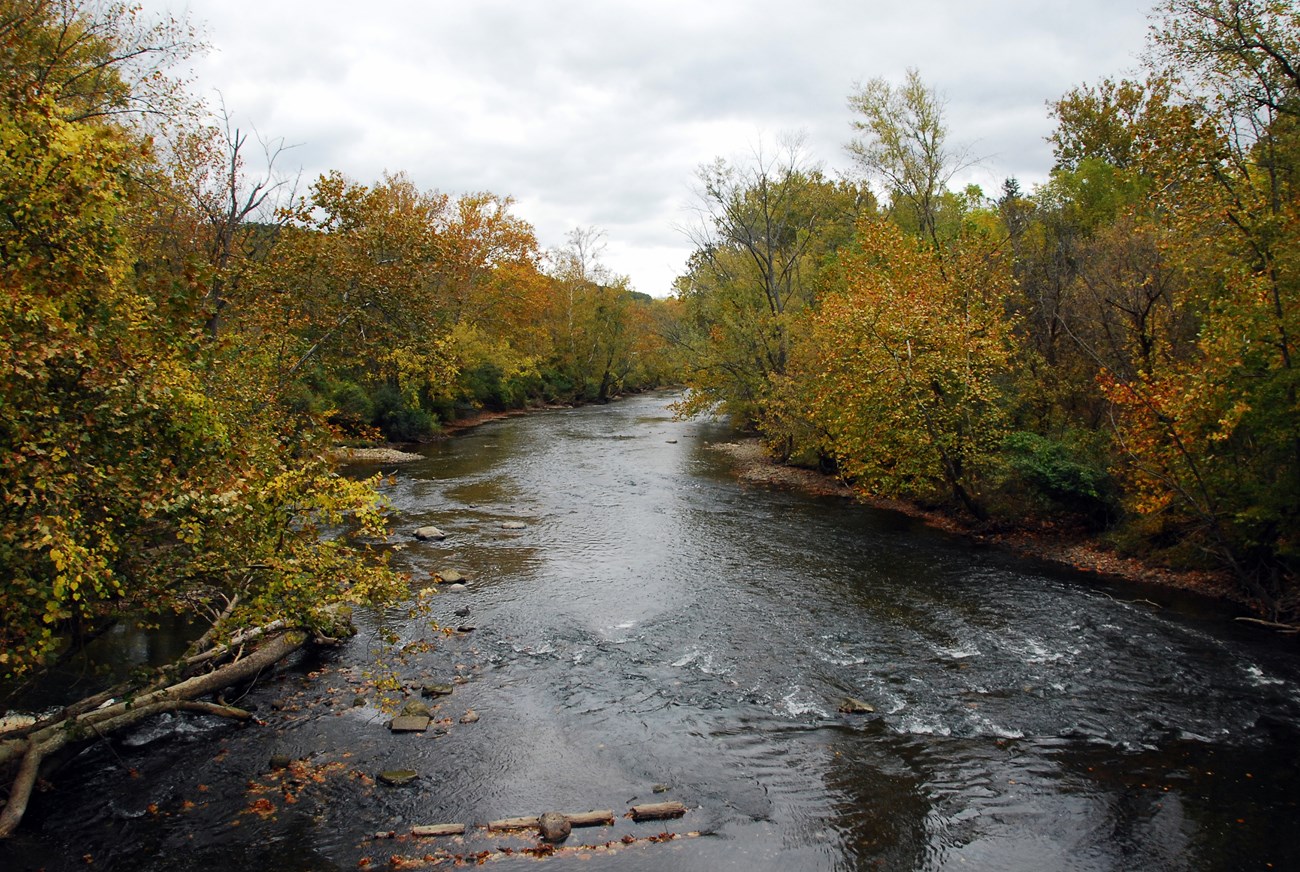 A view of the river from above, looking downstream; trees with yellowing leaves line both shores