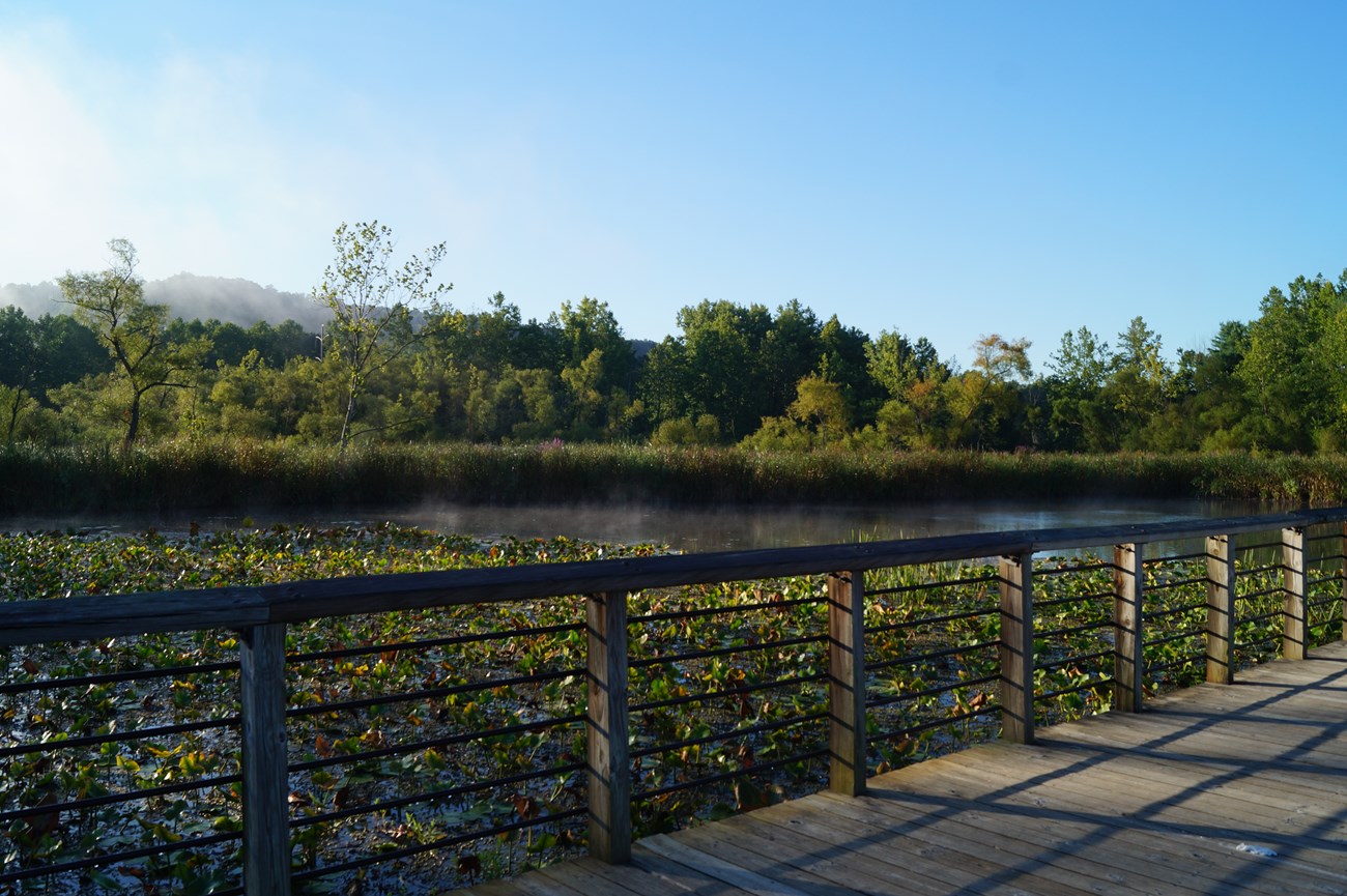 board walk in the beaver marsh