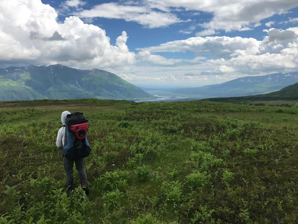 man with backpack standing in an alpine meadow