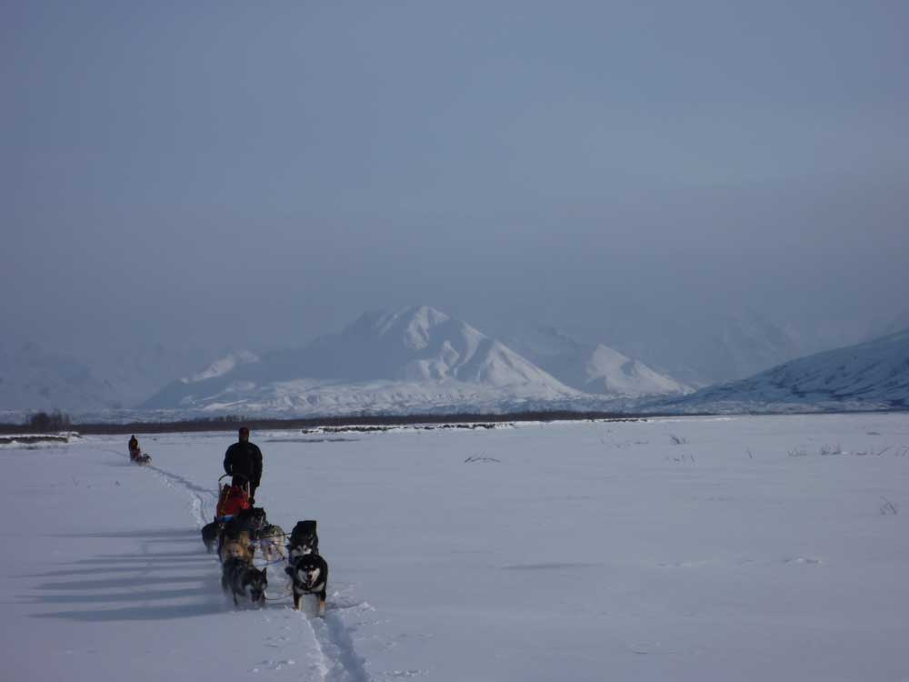 two dog teams mushing across a frozen river