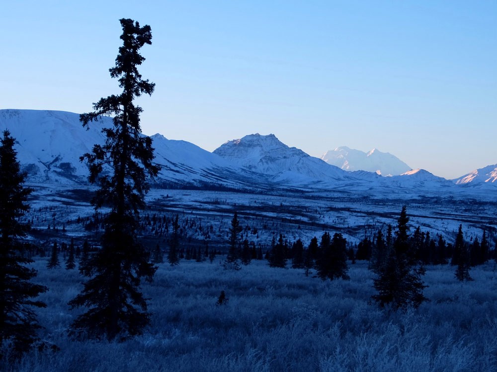 snowy landscape of trees, hills and mountains under a blue sky