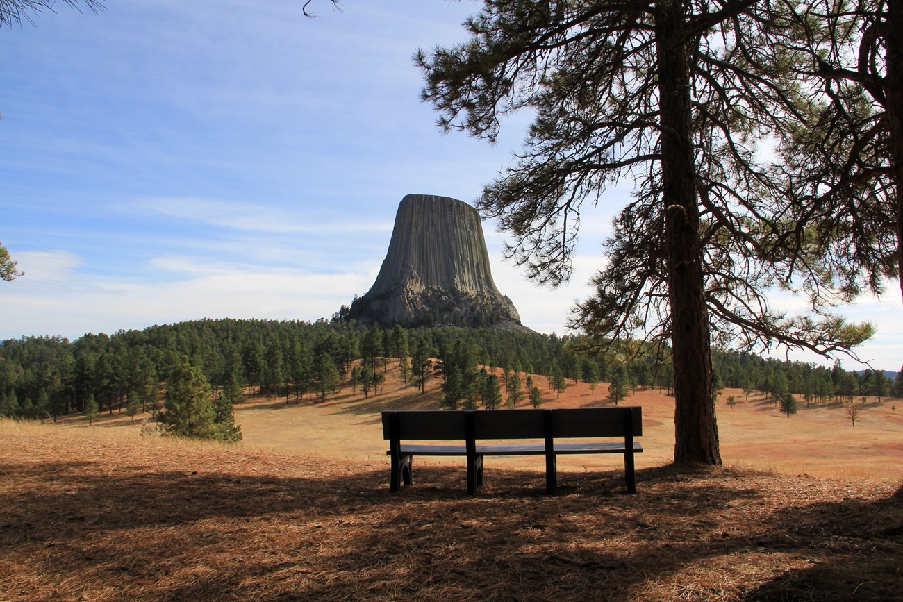 distant view of tower